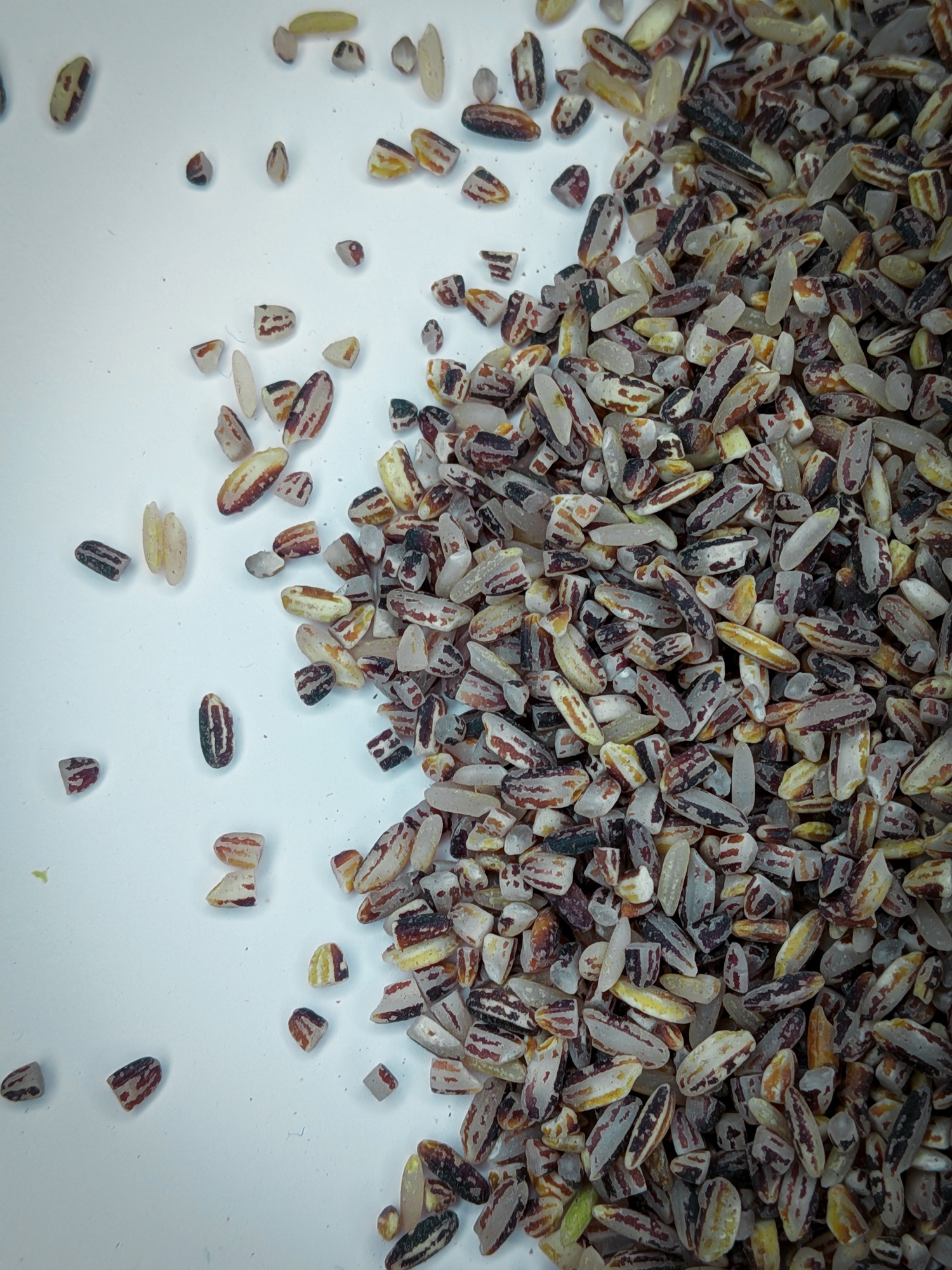 Karuppu Kavuni - Image 7